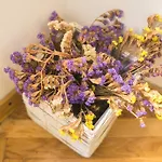 דירה Adriana Flora דוברובניק
