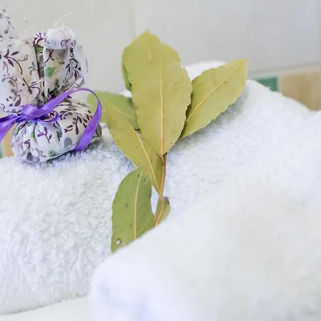 Adriana Flora Lägenhet *