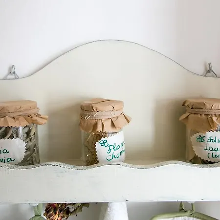 Adriana Flora * Ragusa