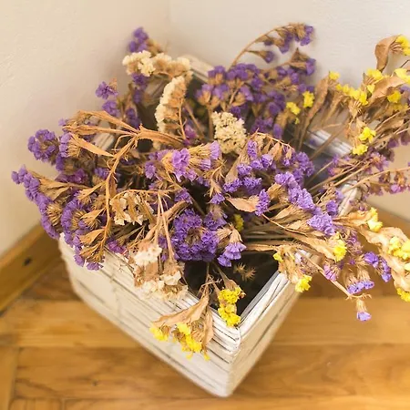 Appartamento Adriana Flora Ragusa